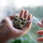 contributing to the delinquency of a minor